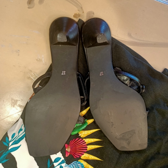 Cavalli Bundle - Picture 6 of 6